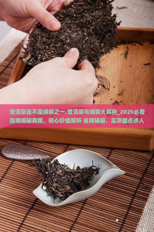 普洱茶是不是绿茶之一