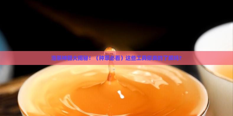 简述泡茶所用的工具有哪些