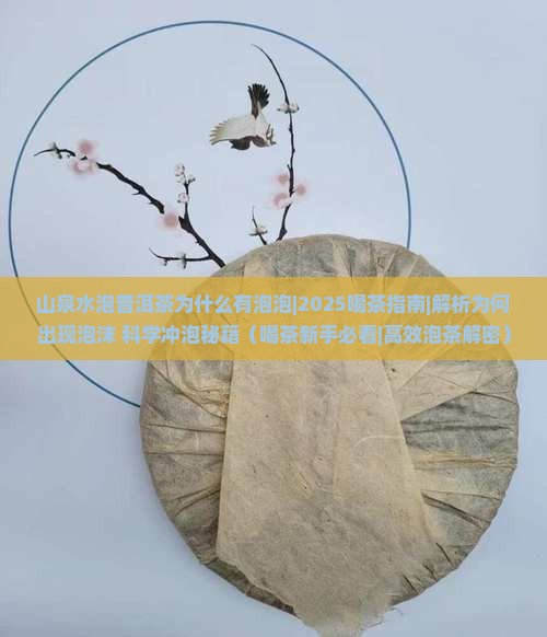 山泉水泡普洱茶为什么有泡泡