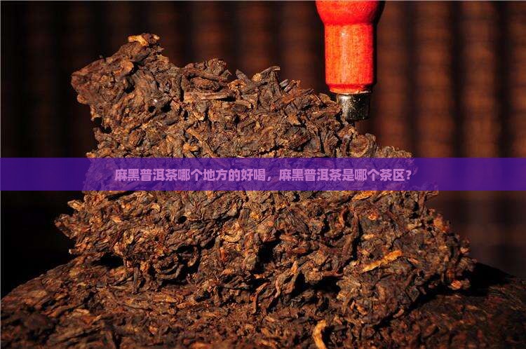 麻黑普洱茶哪个地方的好喝