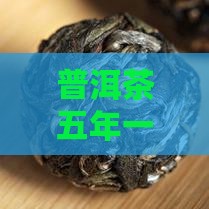 普洱茶五年一变