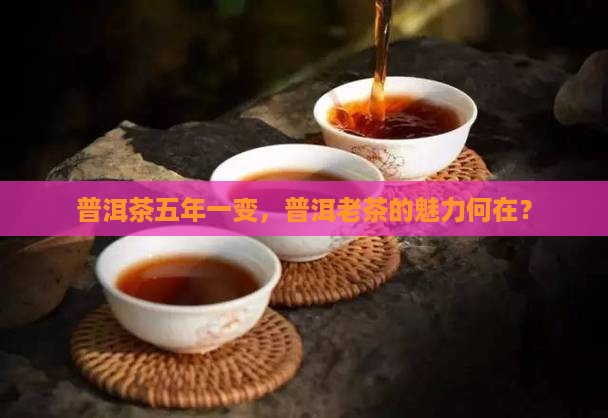 普洱茶五年一变