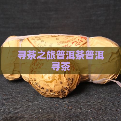 寻茶之旅普洱茶叶