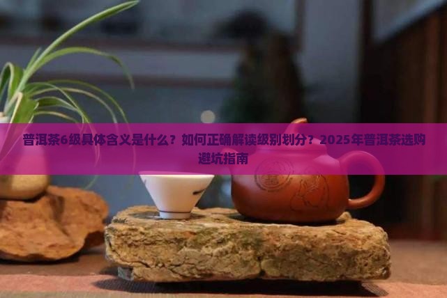 普洱茶6级是什么意思