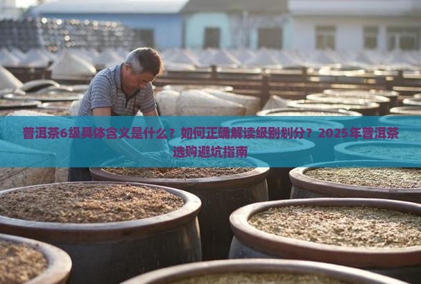 普洱茶6级是什么意思