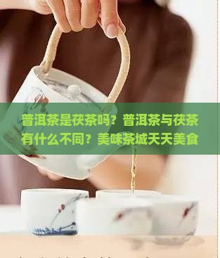 普洱茶是茯茶吗