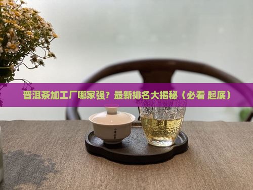 普洱茶加工厂排名榜最新