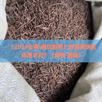 普洱茶饼丸正确泡法