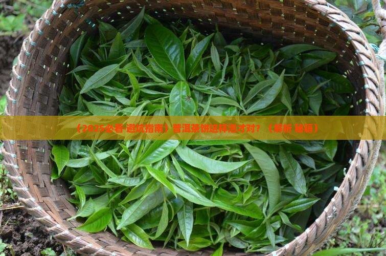 普洱茶饼丸正确泡法