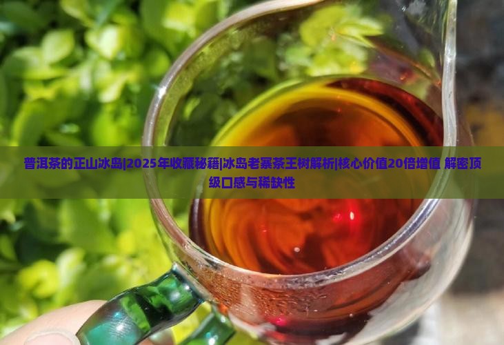 普洱茶的正山冰岛