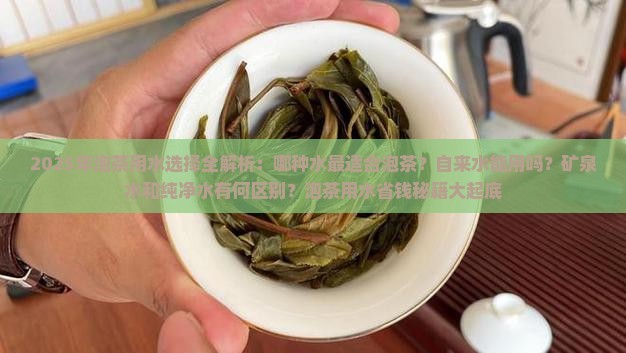 如何选择泡茶用水