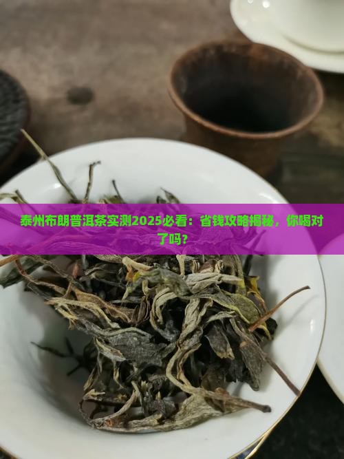 泰州布朗普洱茶