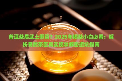 普洱茶易武土匪窝