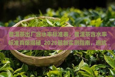 普洱茶出厂含水率标准表 普洱茶出厂含水率标准表