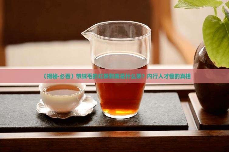 带绒毛的红茶是什么茶