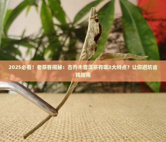 古乔木普洱茶特点