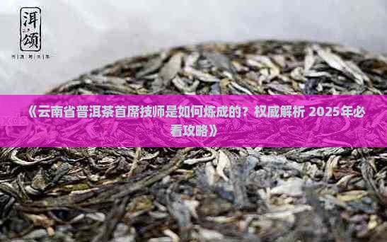 云南省普洱茶首席技师