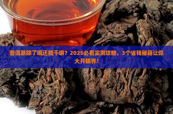 普洱茶其他用途