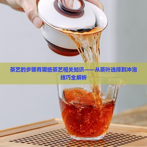 茶艺的步骤有哪些茶艺相关知识