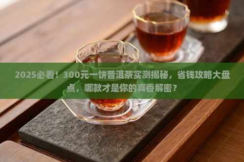 300元一饼的普洱茶排行