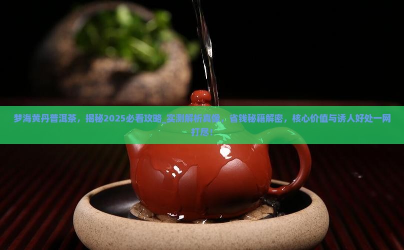 梦海黄丹普洱茶