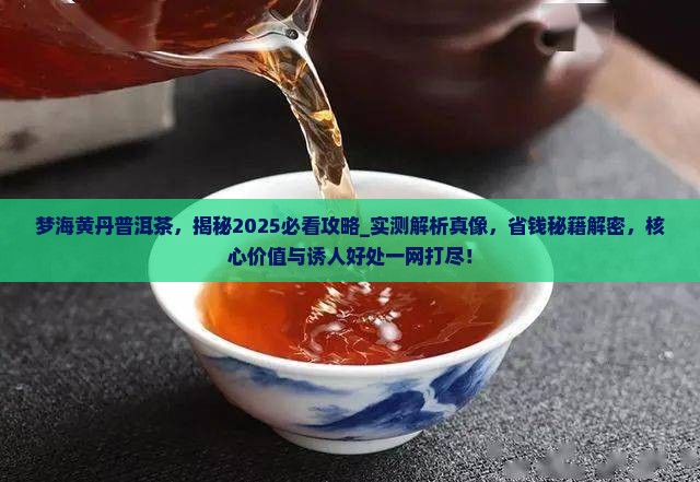 梦海黄丹普洱茶
