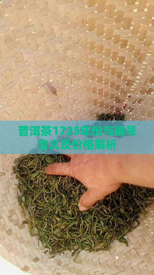 普洱茶1725
