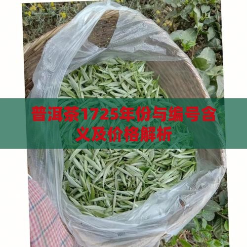 普洱茶1725