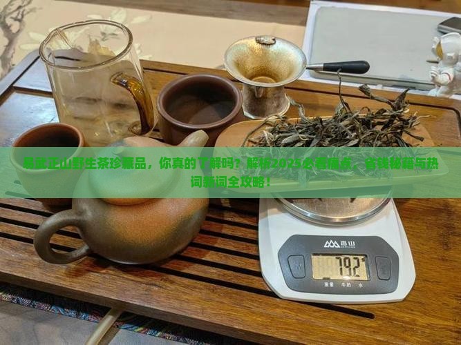 易武正山野生茶珍藏品