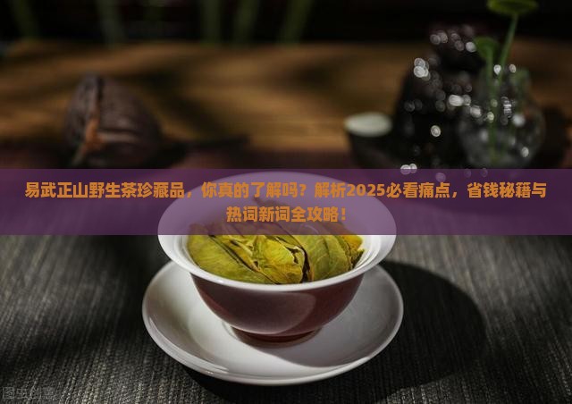 易武正山野生茶珍藏品
