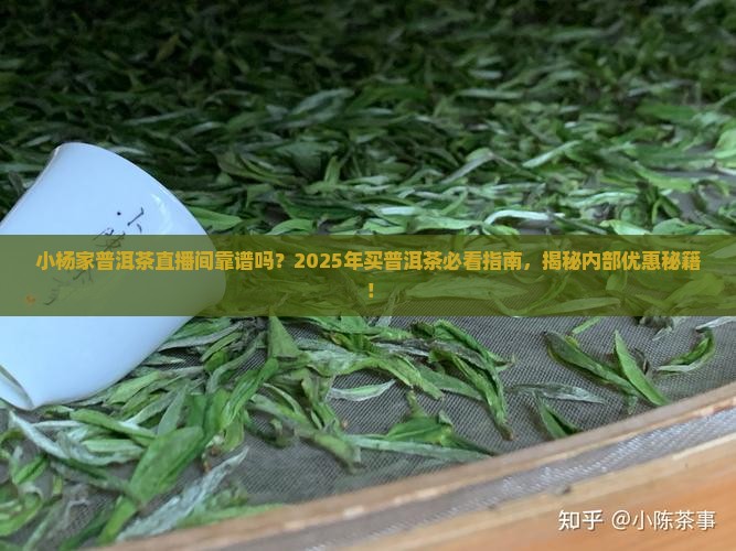 小杨家普洱茶直播间