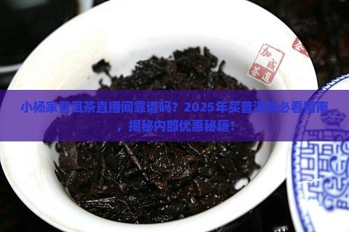 小杨家普洱茶直播间