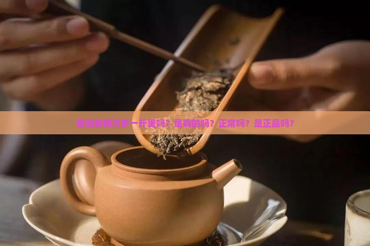普洱茶两万多一斤