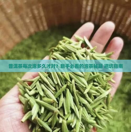 普洱茶每次泡那么的时间