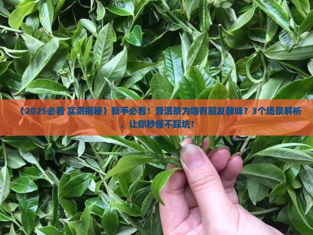 普洱茶为什么有股发酵味道