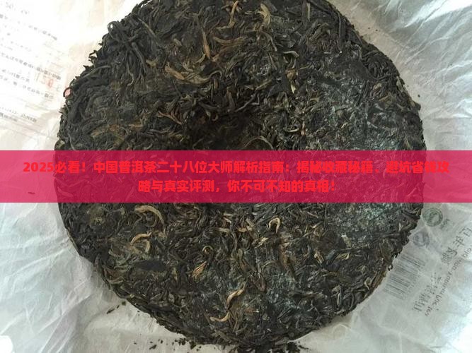 中国普洱茶二十八位大师
