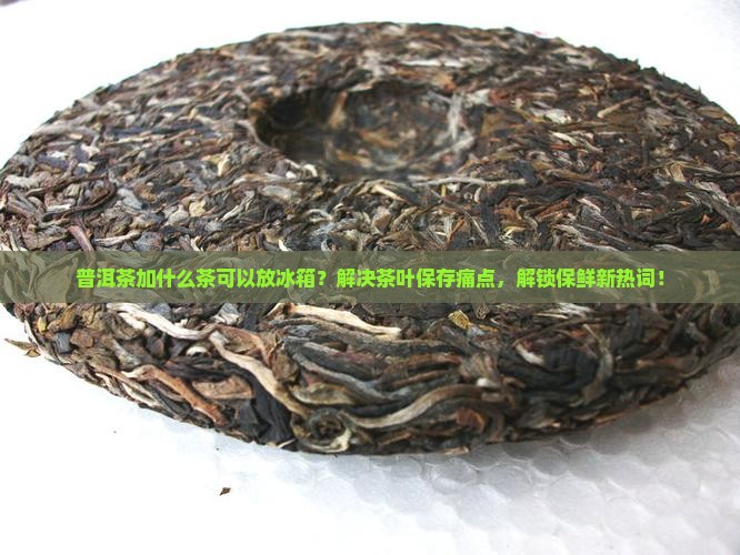 普洱茶加什么茶可以放冰箱