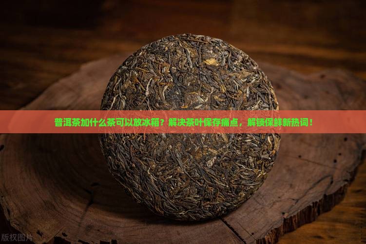 普洱茶加什么茶可以放冰箱