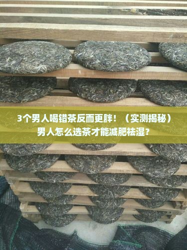 男人喝什么茶减肥祛湿