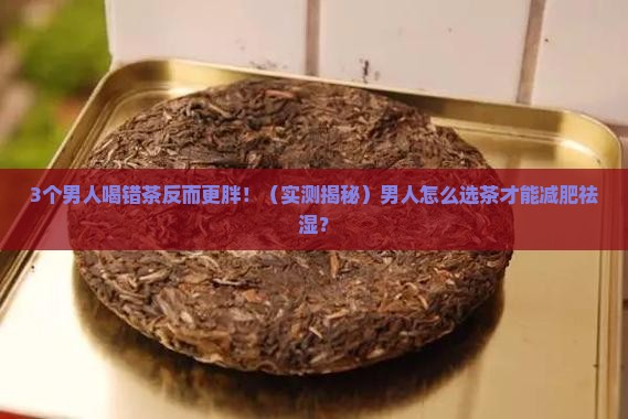 男人喝什么茶减肥祛湿