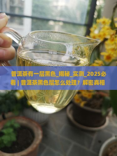 普洱茶有一层黑色