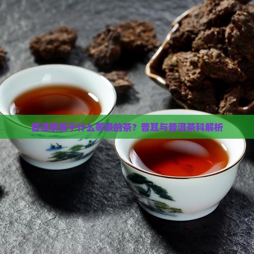 普洱茶属于什么品级的茶