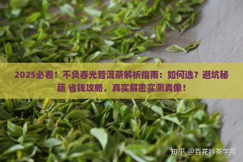 不负春光普洱茶