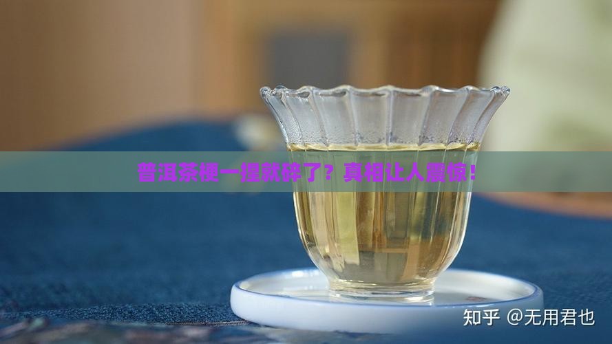 普洱茶梗一捏就碎了