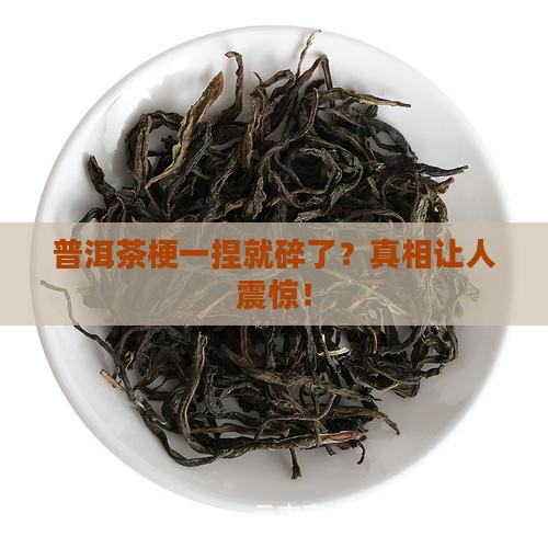 普洱茶梗一捏就碎了