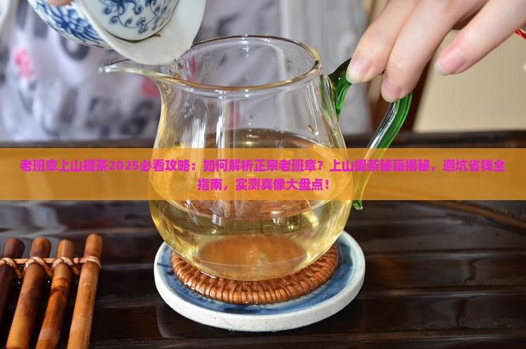 老班章上山提茶