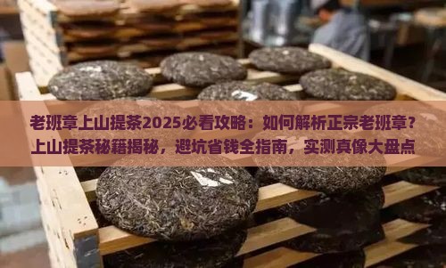 老班章上山提茶