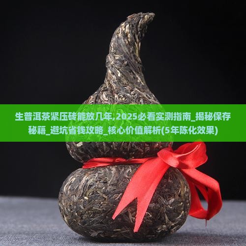 生普洱茶紧压砖能放几年