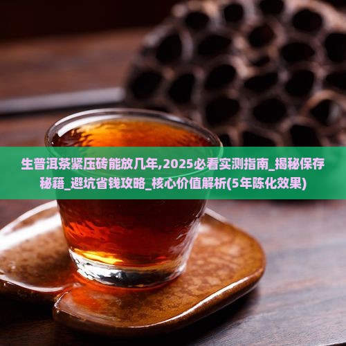 生普洱茶紧压砖能放几年