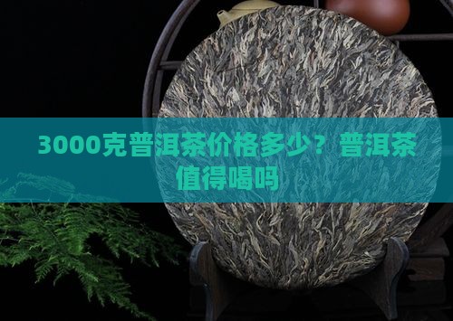 3000g的普洱茶能喝吗 3000g的普洱茶能喝吗